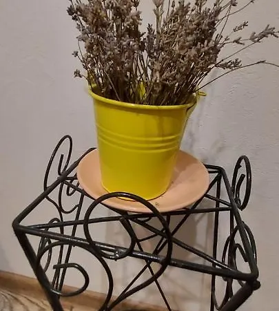 Apartamento White On Center *