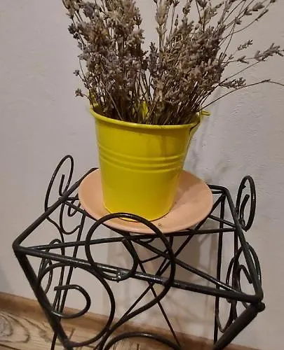 דירה White On Center *